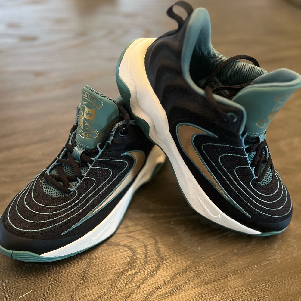 Nike Giannis Immortality 4 Black and Teal Athletic Shoes